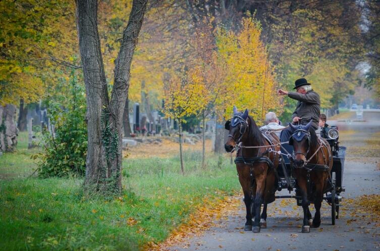    Фото: Carrie Borden on Unsplash