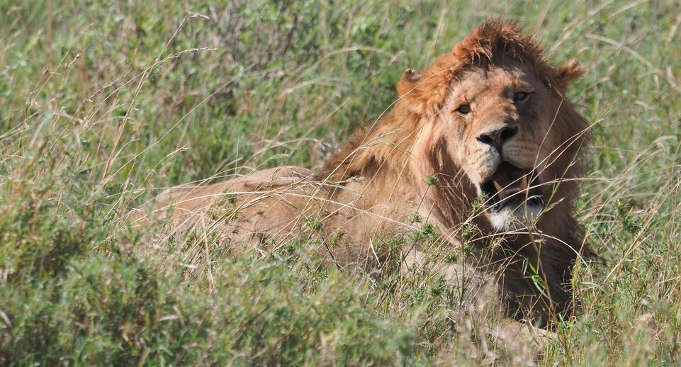    Soeren Stache/dpa / www.globallookpress.com