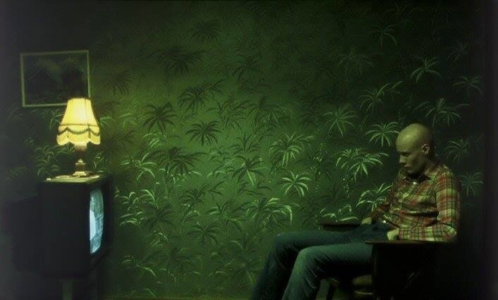 Кадр из фильма «Ной – белая ворона» (2003) - обратите внимание на обои с пальмами!