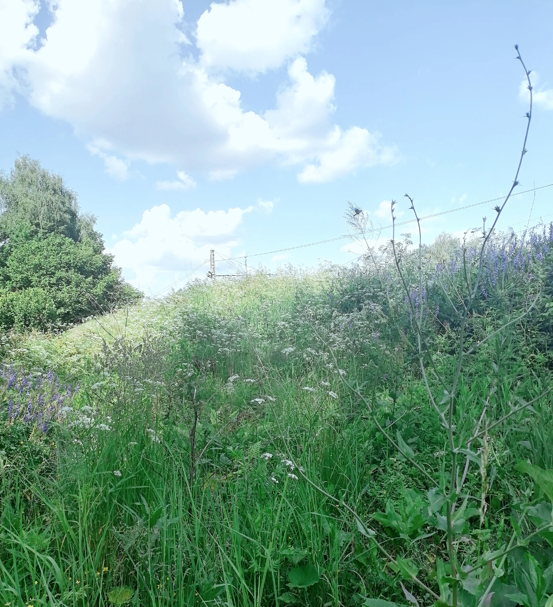 Электричка сбежала)