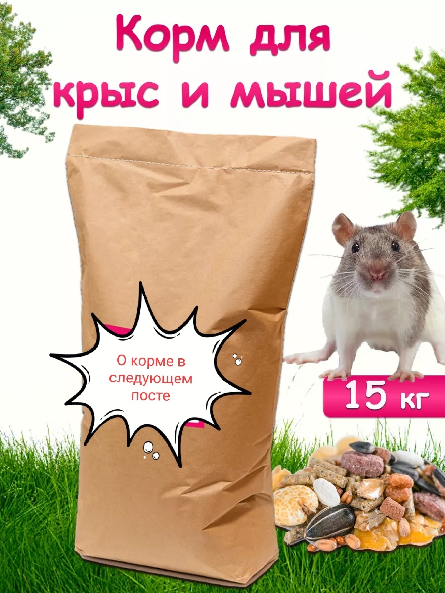 Корм можно купить готовый или приготовить самостоятельно