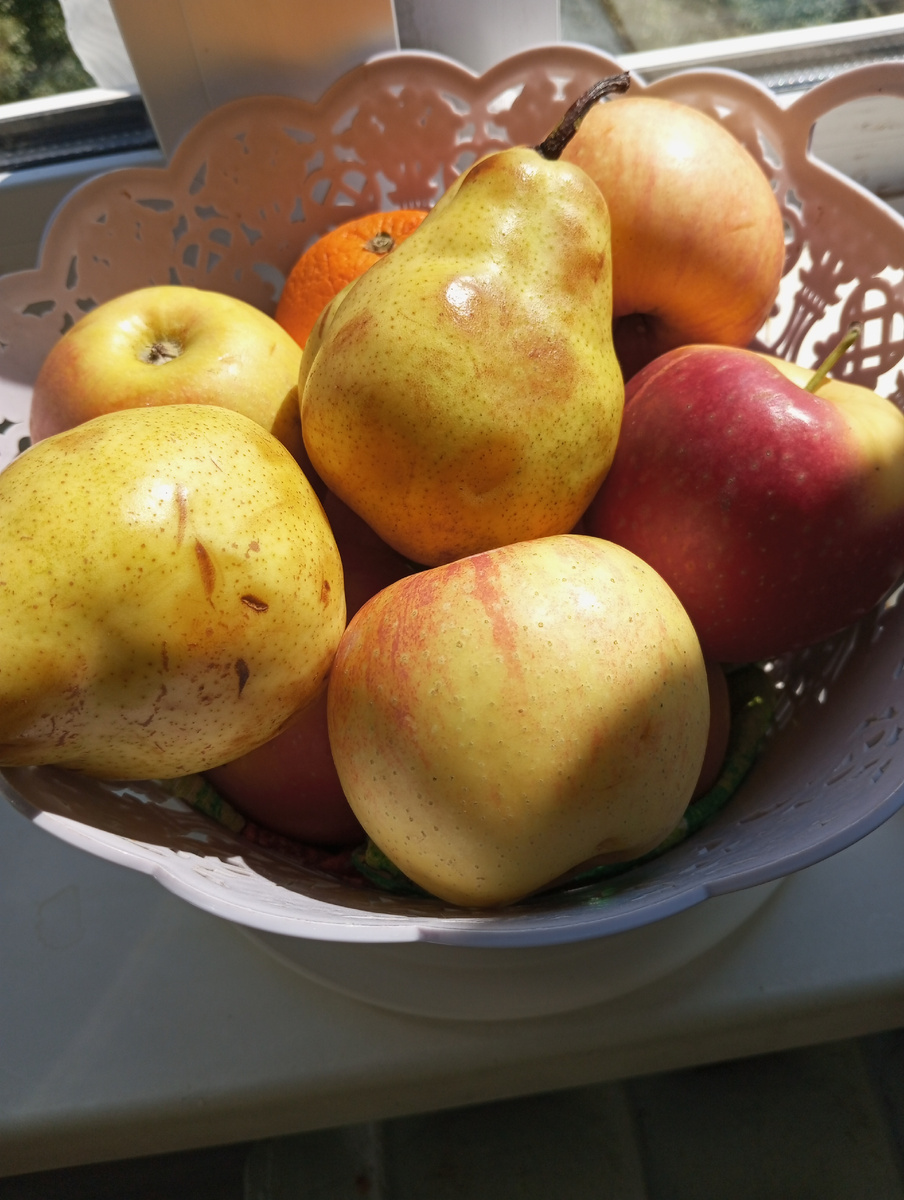 Фото автора статьи. Покупаю, что люблю.