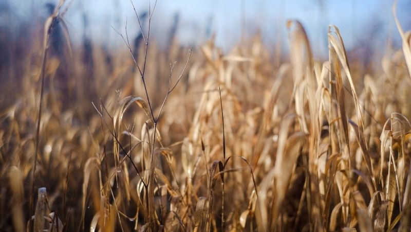      Фото: @wirestock / freepik.com