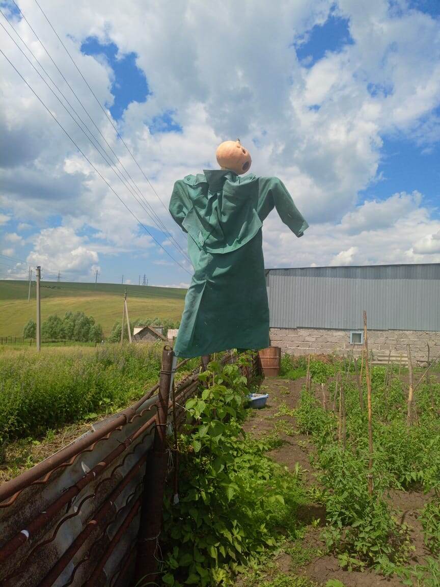 Брат смастерил пугало. В деревне