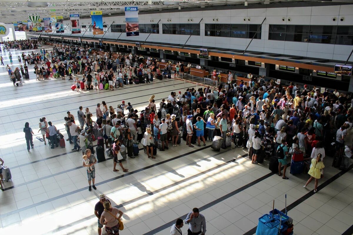    фото: Artur Romanov\shutterstock