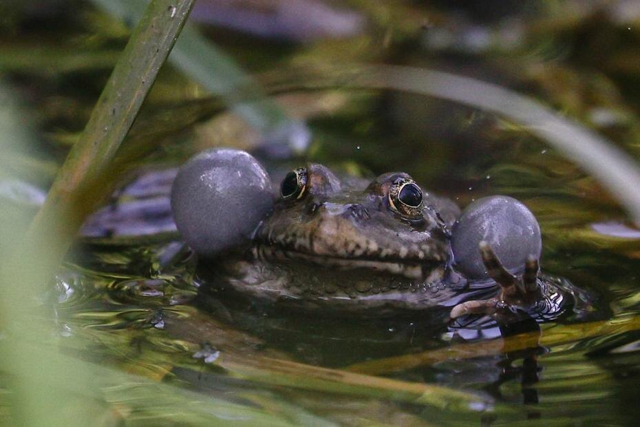    Сергей Булкин/NEWS.ru
