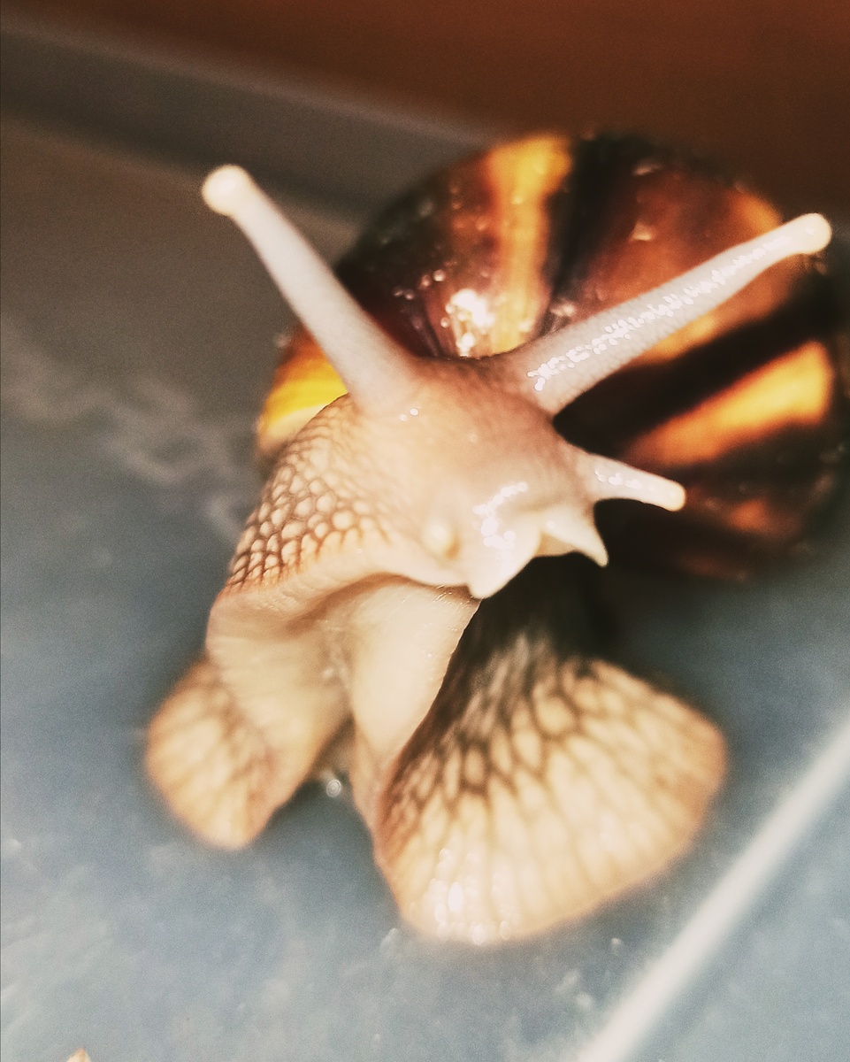 Одна из наших красоток 