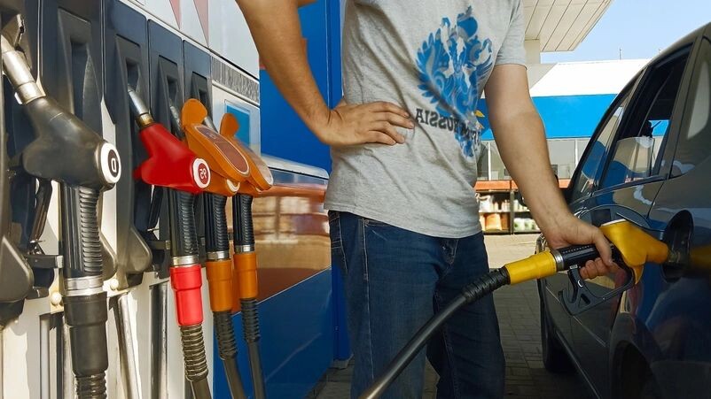    Фото: maradon 333/Shutterstock/Fotodom