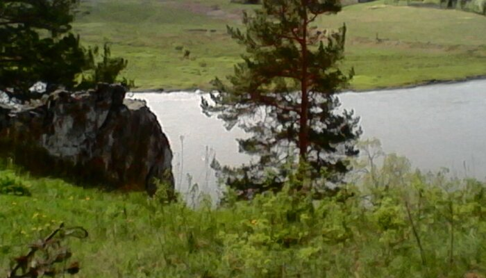  Остаётся загадкой – зачем участник СВО поехал с незнакомыми мужиками в лес / Фото: Vostok.Today