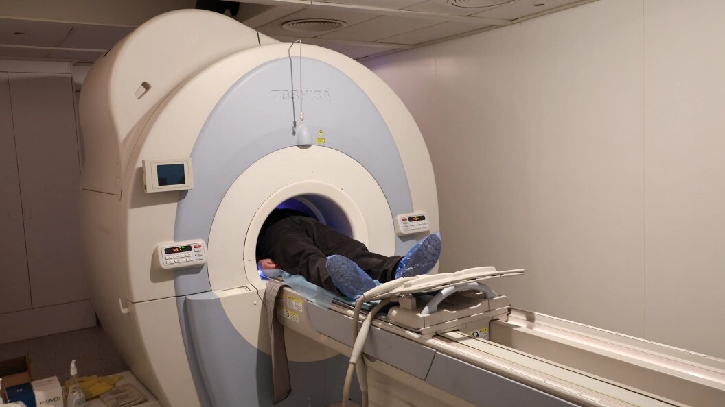    Фото: Belkin Alexey/news.ru/Globallookpress