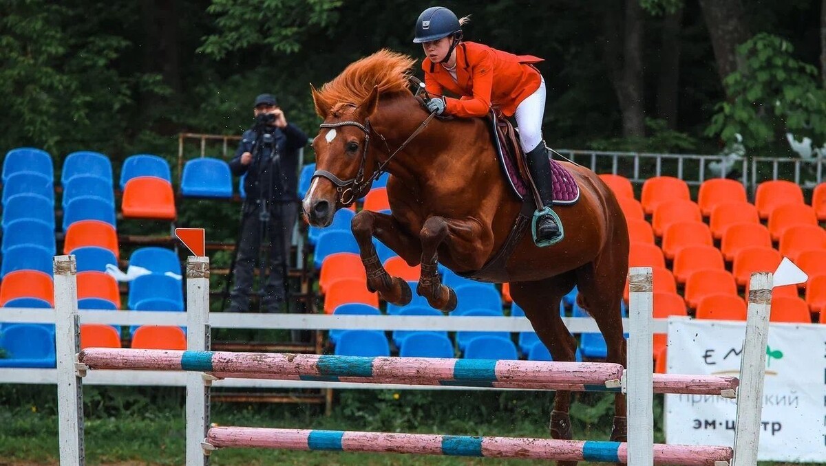     Источник: Предоставлено организаторами