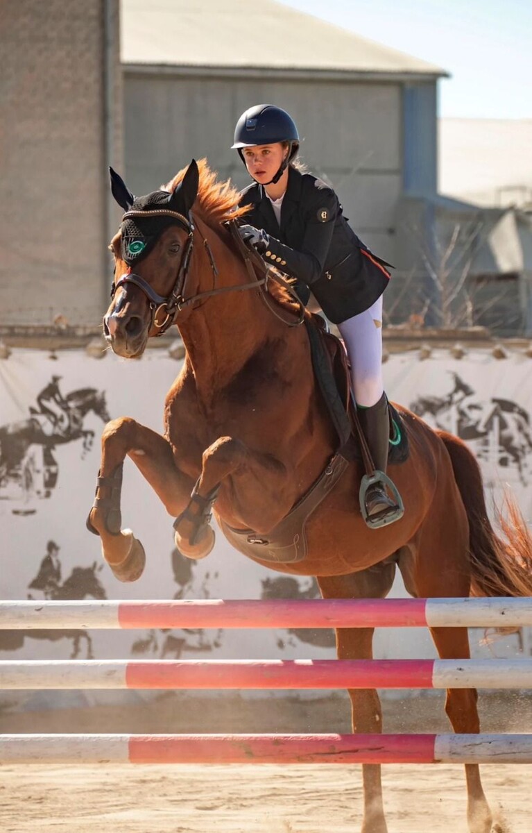     Источник: Предоставлено организаторами