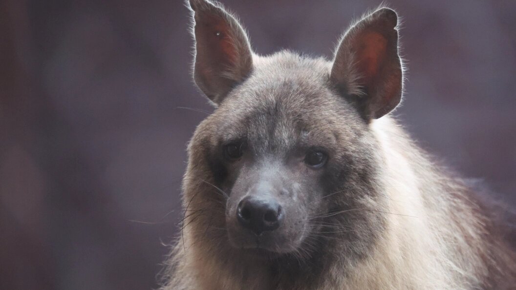    Belkin Alexey/news.ru/Globallookpress