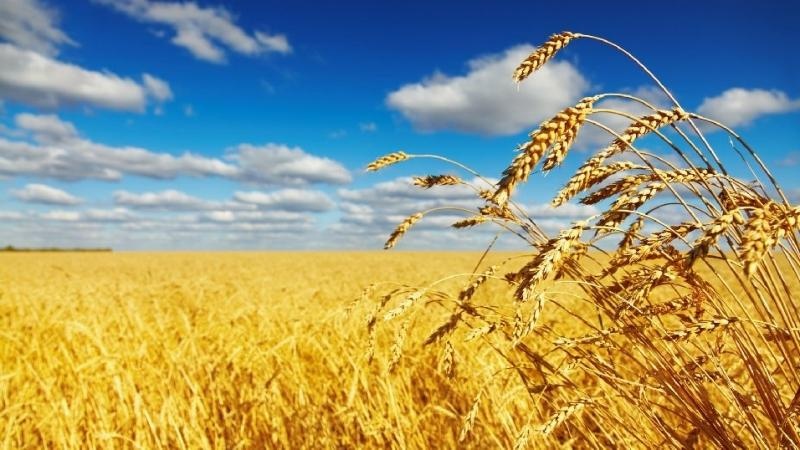 Фото из интернета в свободном доступе