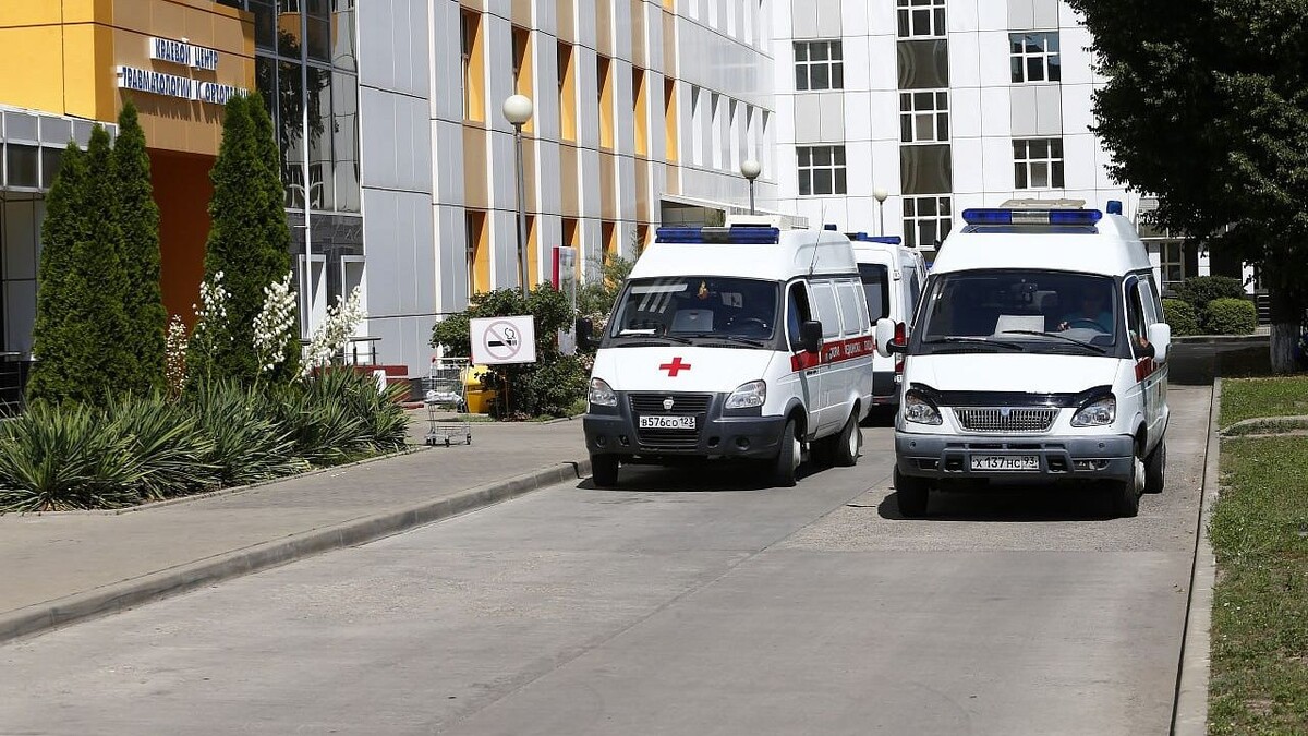    Фото: телеканал «Краснодар»