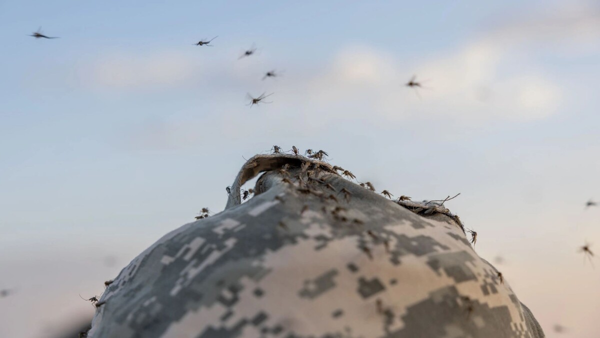    Фото: Андрей Ткачев / «Ямал-Медиа»