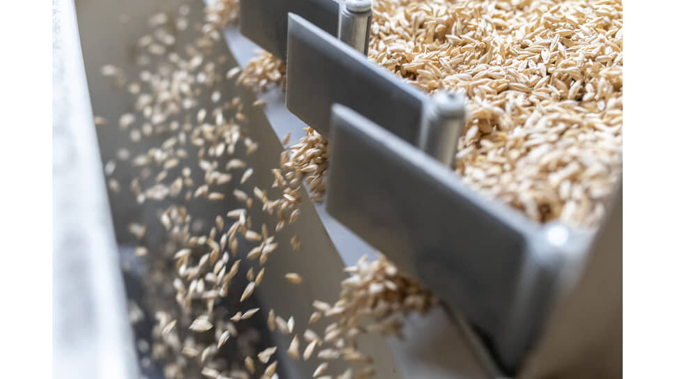 Фото: Игорь Елисеев / Коммерсантъ