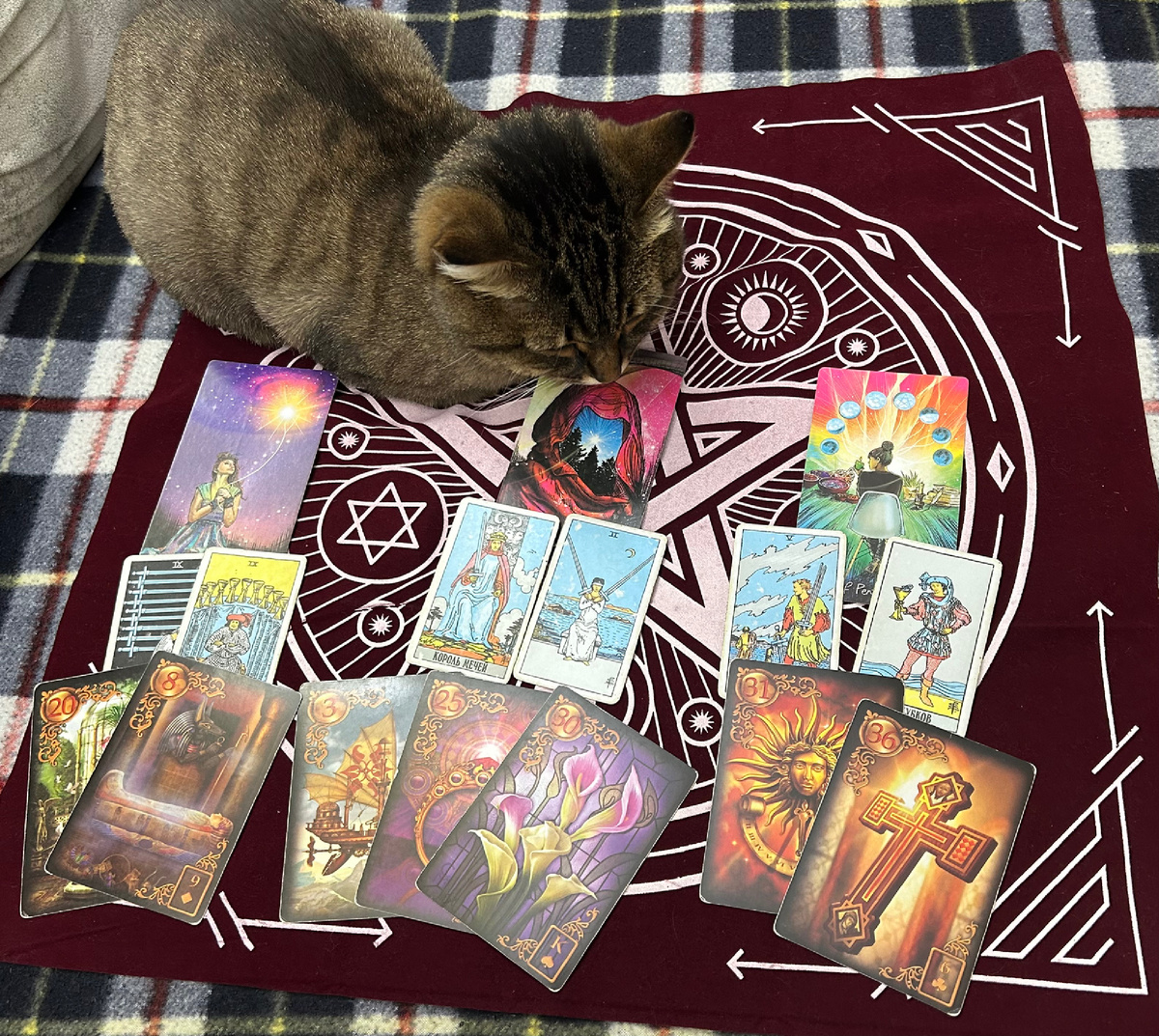 Муся решила присоединиться к раскладу, шаманила, так сказать,😀🤩❤️.