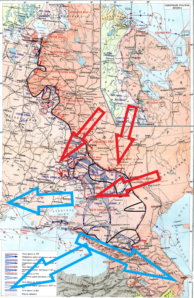 (Фото взято из открытых источников).