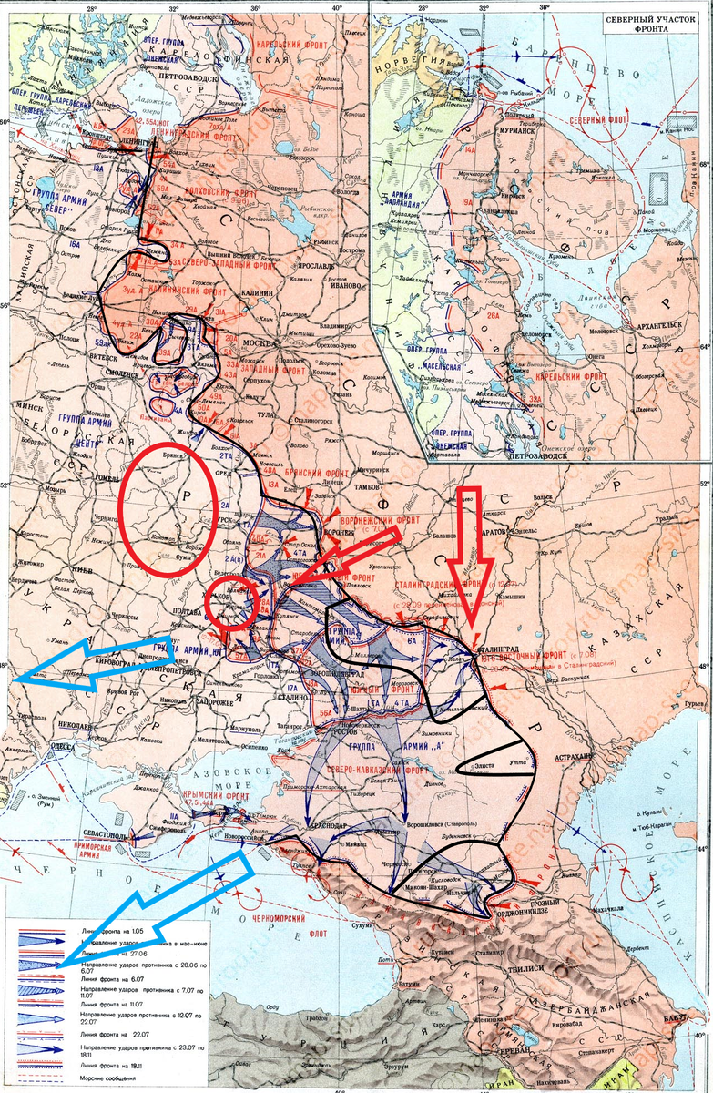(Фото взято из открытых источников).
