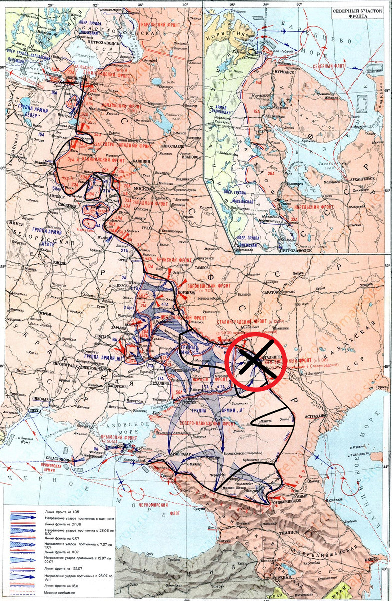 (Фото взято из открытых источников).