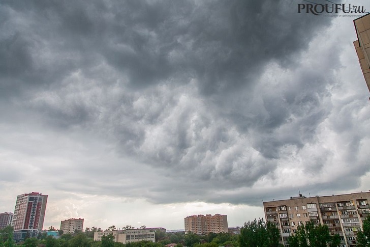    Фото: Пруфы