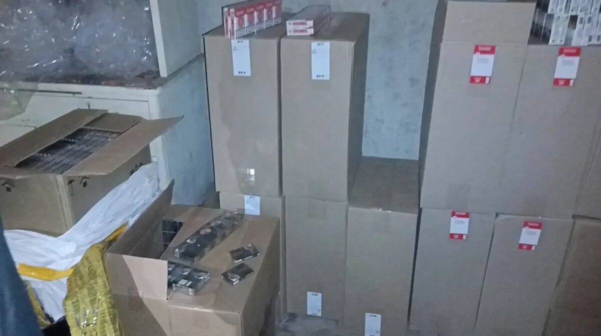    Фото: Telegram-канал «МВД 24»