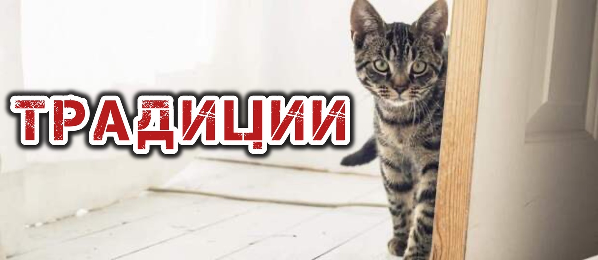 Картинки из интернета 