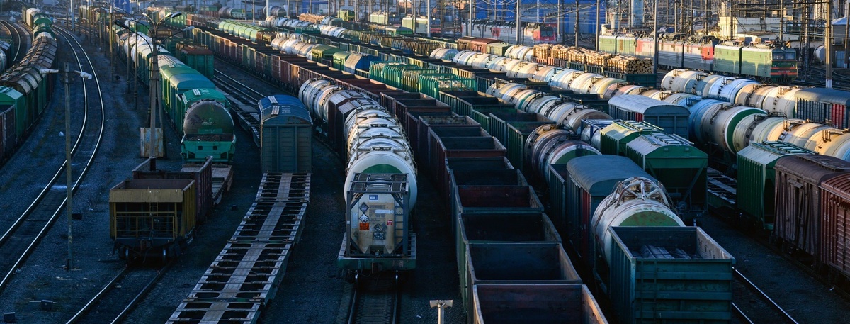    Автор фото: Сергей Ермохин / "ДП"