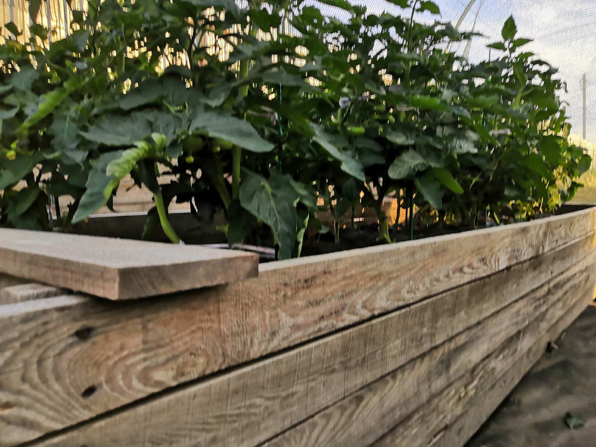 Значительно более приличный обрезанный вид.