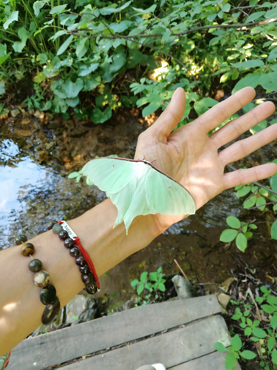 Сатурния. Фото автора 