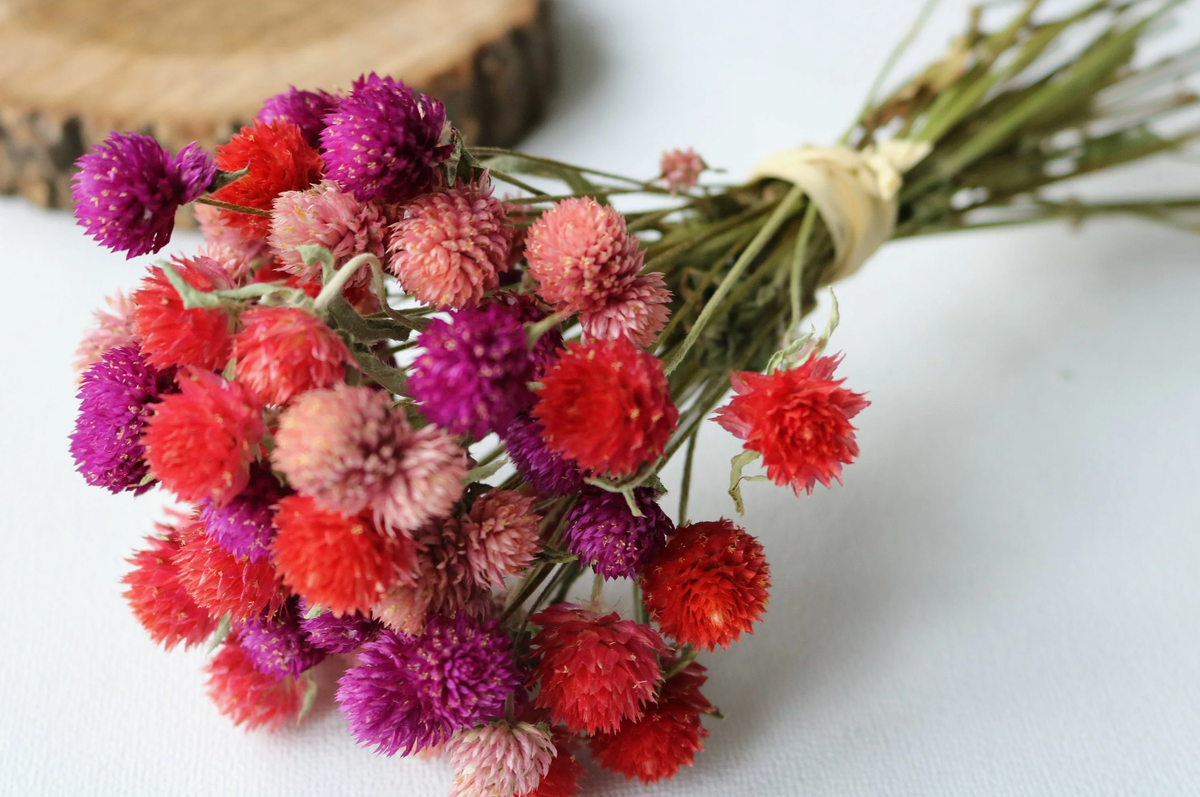 Источник фото: pinterest.com