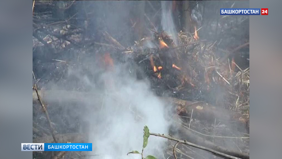    Одно возгорание сухой травы случилось в Башкортостане за сутки