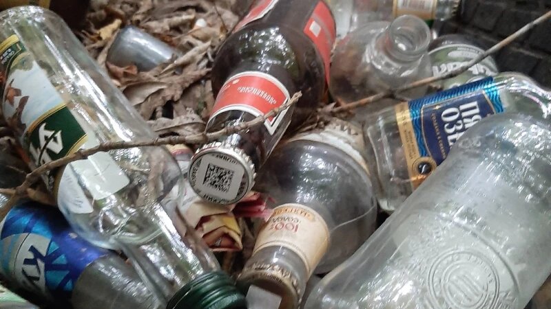     Забор с бутылками. Лариса Васильева.