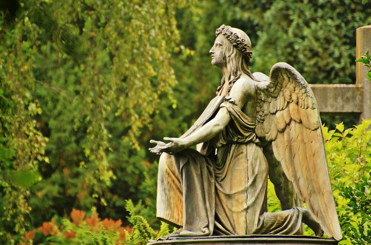 Вечная,память 