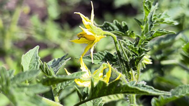    Фото: Олег ЧИРКАШЕНКО
