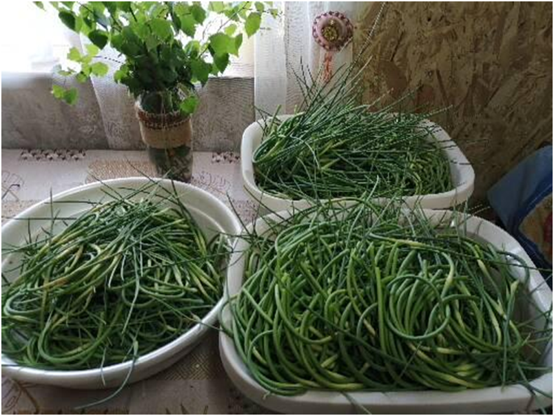 Личное фото автора.