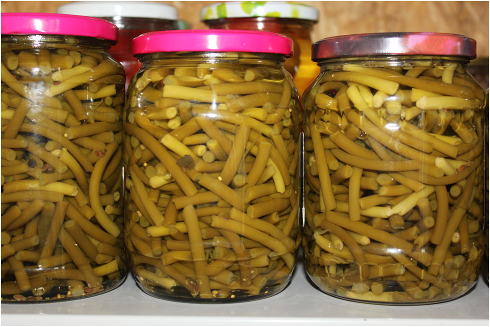 Личное фото автора.