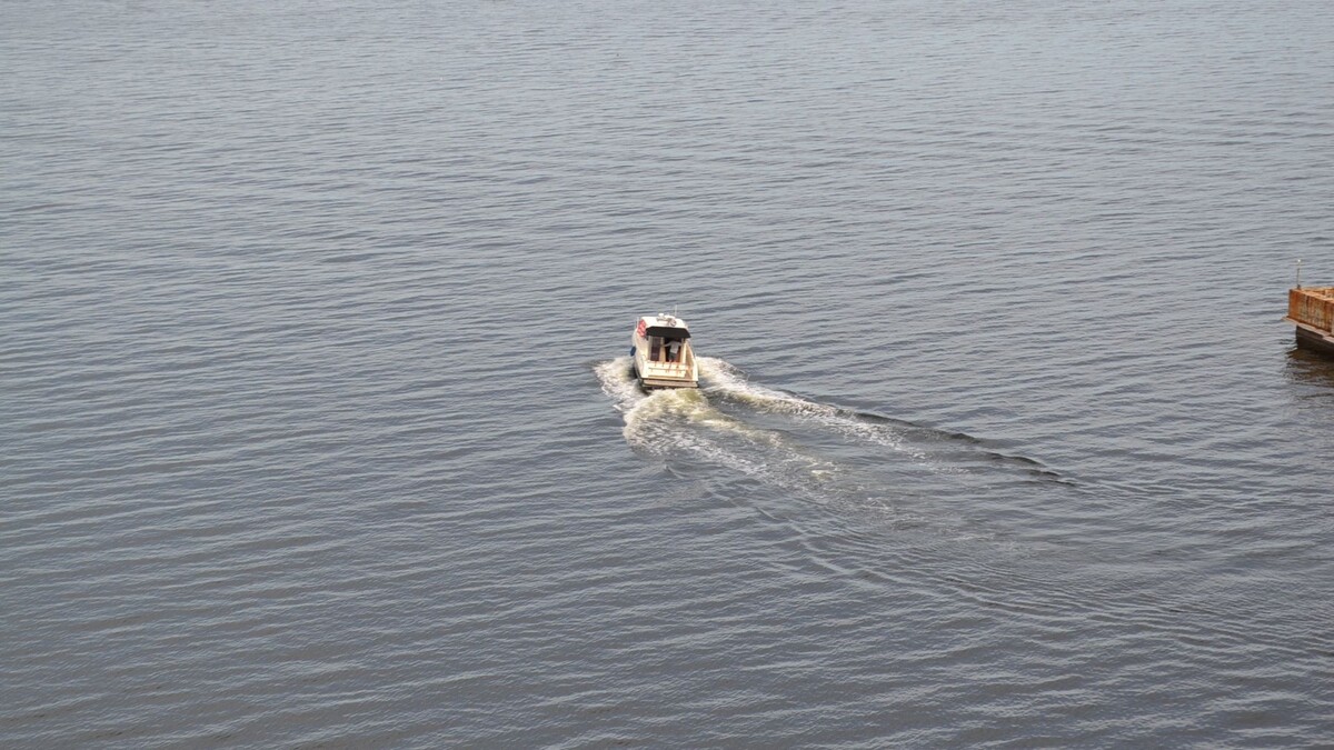     Источник: 1MI