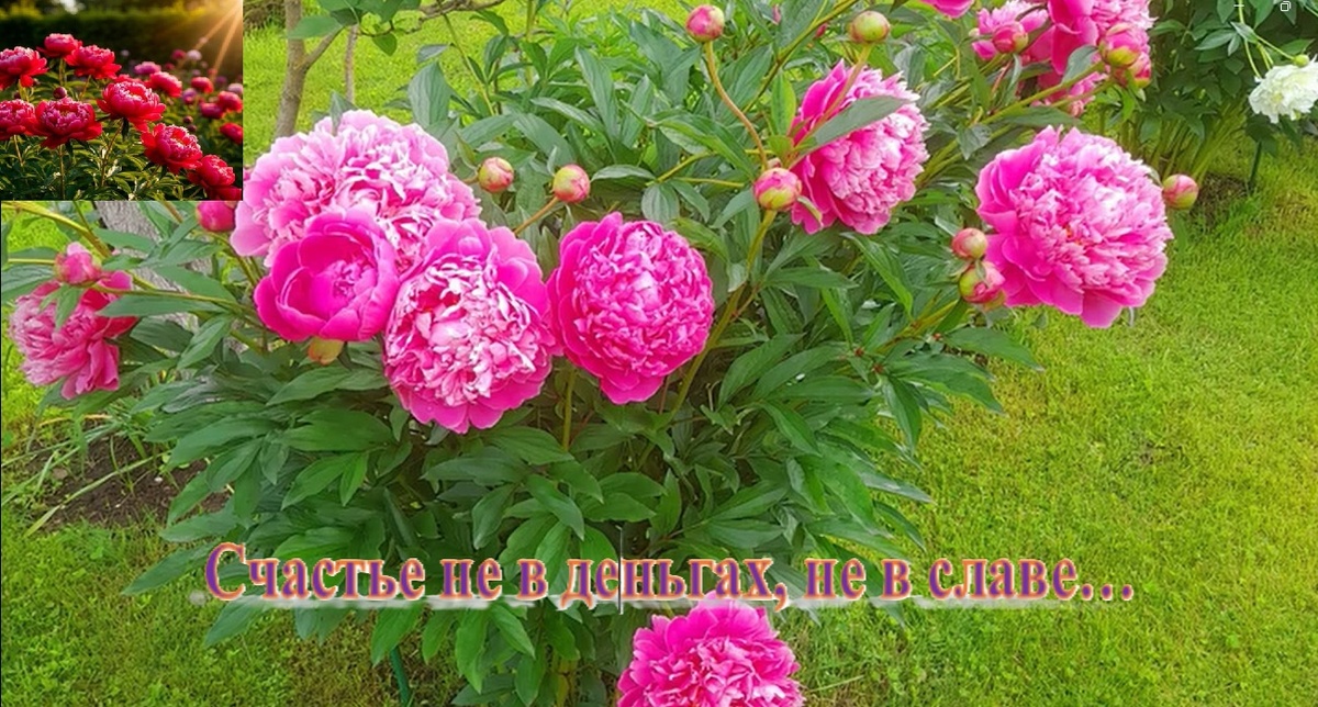 Друзья! Сегодняшний ролик вышел на Рутубе                 https://rutube.ru/video/5a8b3edf401e1460b4b8c12e19176e10/