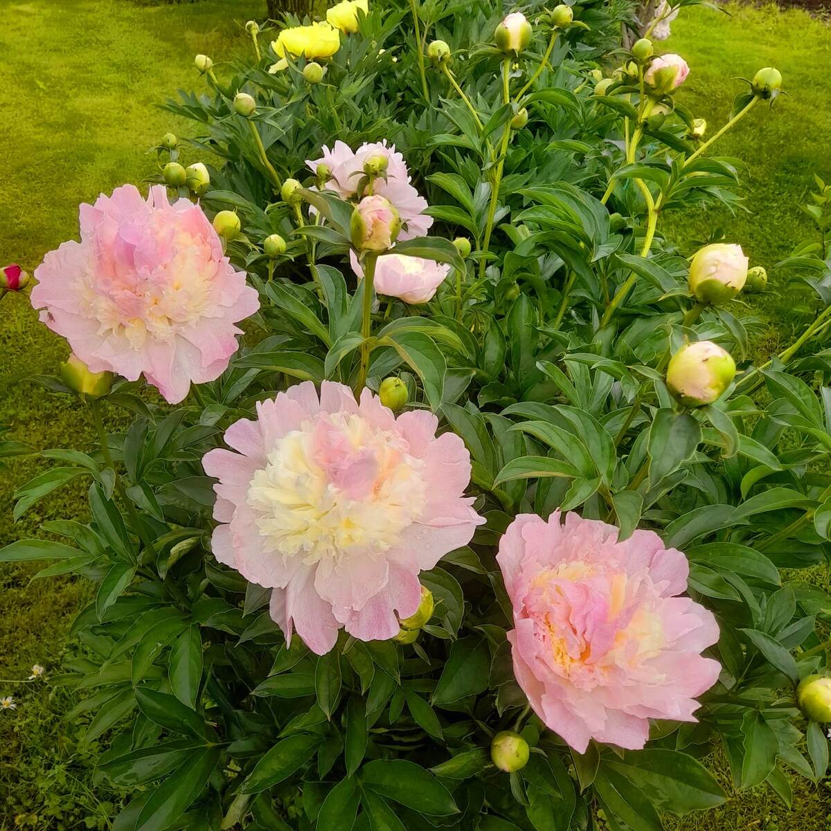 Фото из личного архива