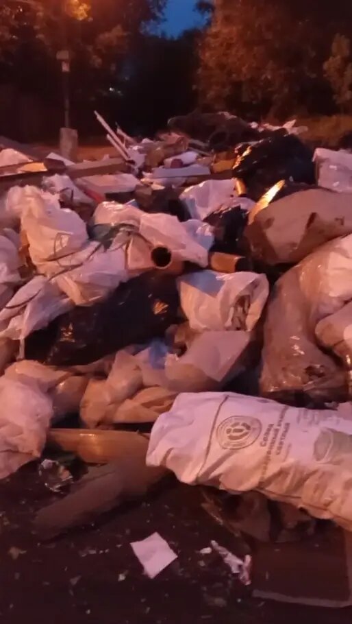    Фото: кадр видео из соцсетей