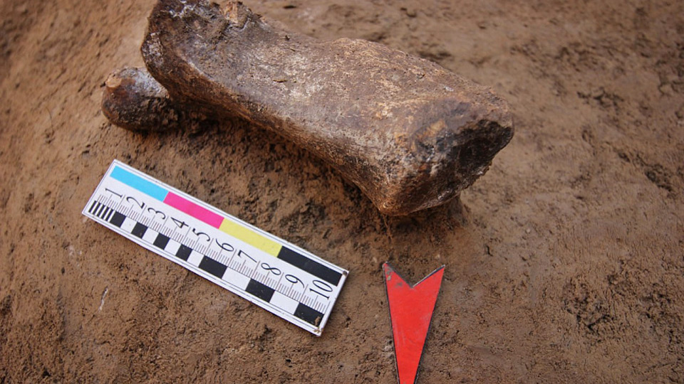     Первобытные предки подбрасывают ученым все новые загадки о своих занятиях и местах обитания