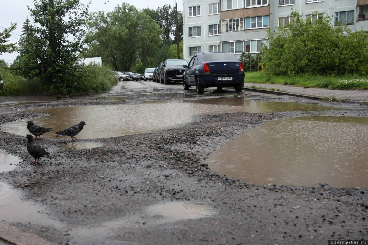 Фото здесь и далее: Telegram-канал Бориса Елкина