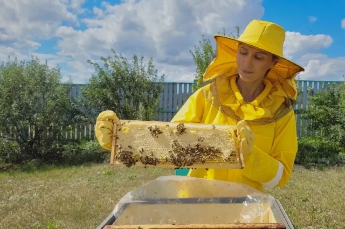    1,5 млн агротуристов ожидают