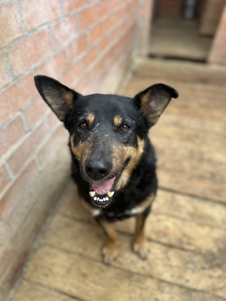 выбираем новое имя мальчику