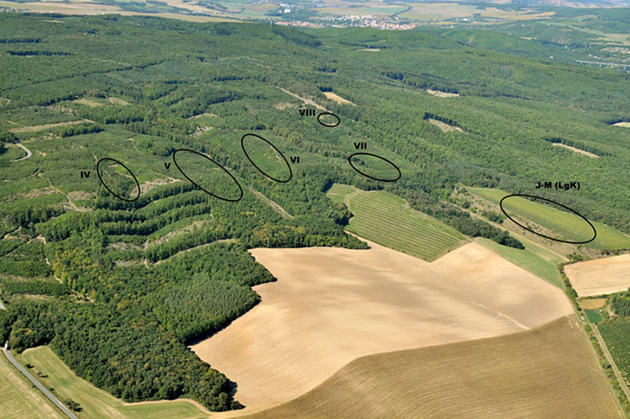 Крумловский лес с обозначением мест, где были найдены неолитические шахты. / Фото: labrujulaverde.com