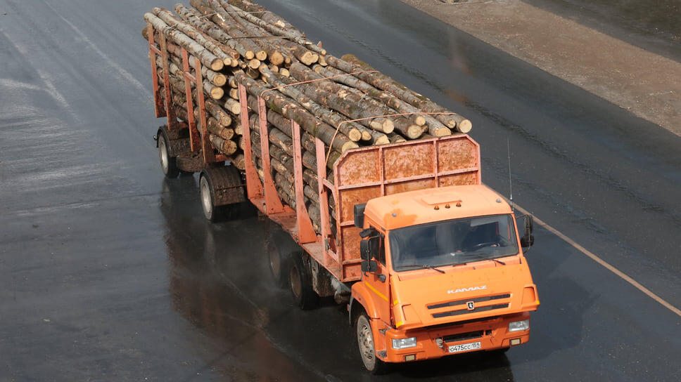 Фото: Максим Кимерлинг / Коммерсантъ