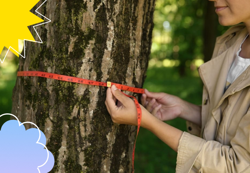 Shutterstock/FOTODOM