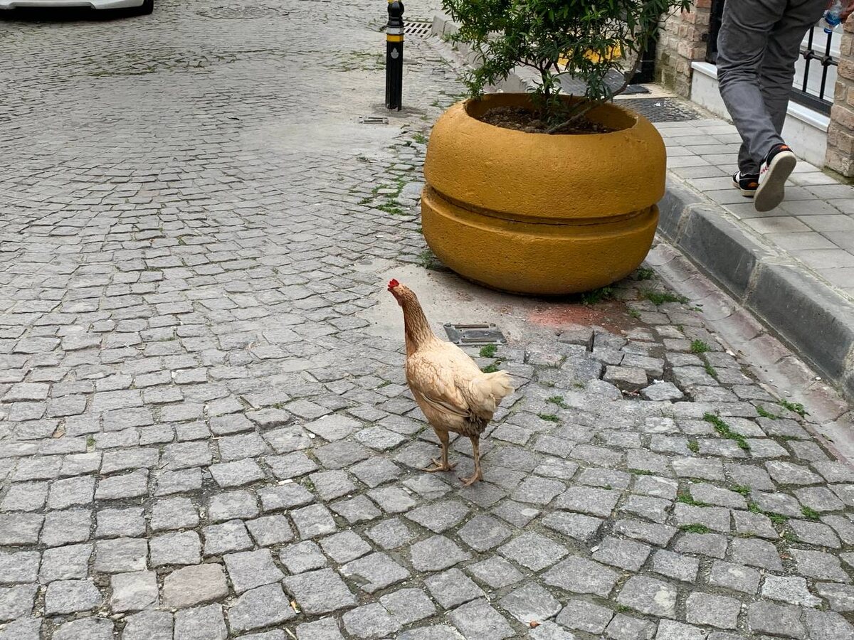 фото из личного архива